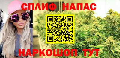 шишки Свободный